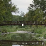 Долгое-долгое время